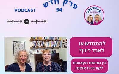 להתחדש או לאבד כיוון? בין גמישות מקצועית לקורבנות אופנה