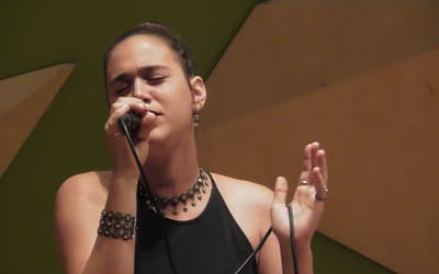 מה הם 7 הכישורים וההרגלים שכל זמר מקצועי צריך מעבר לכשרון וטכניקה?