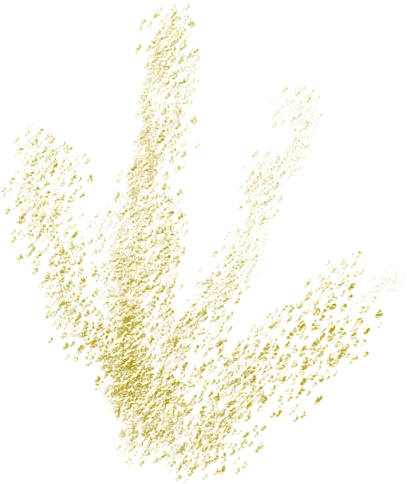 splash-gold14